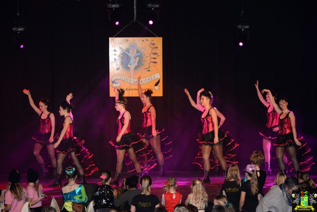 ../Images/Dansmarieke festival 2018 463.jpg